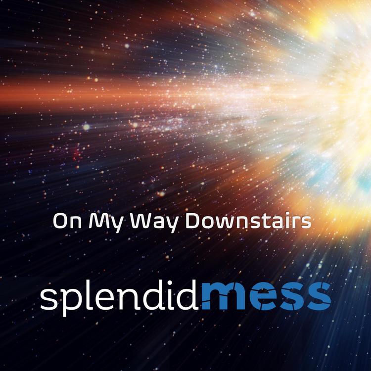 Splendid Mess's avatar image