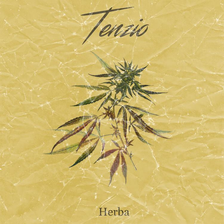 Tenzio's avatar image