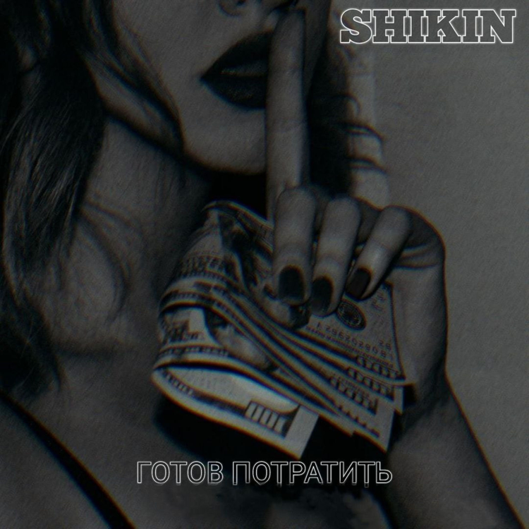 Shikin's avatar image