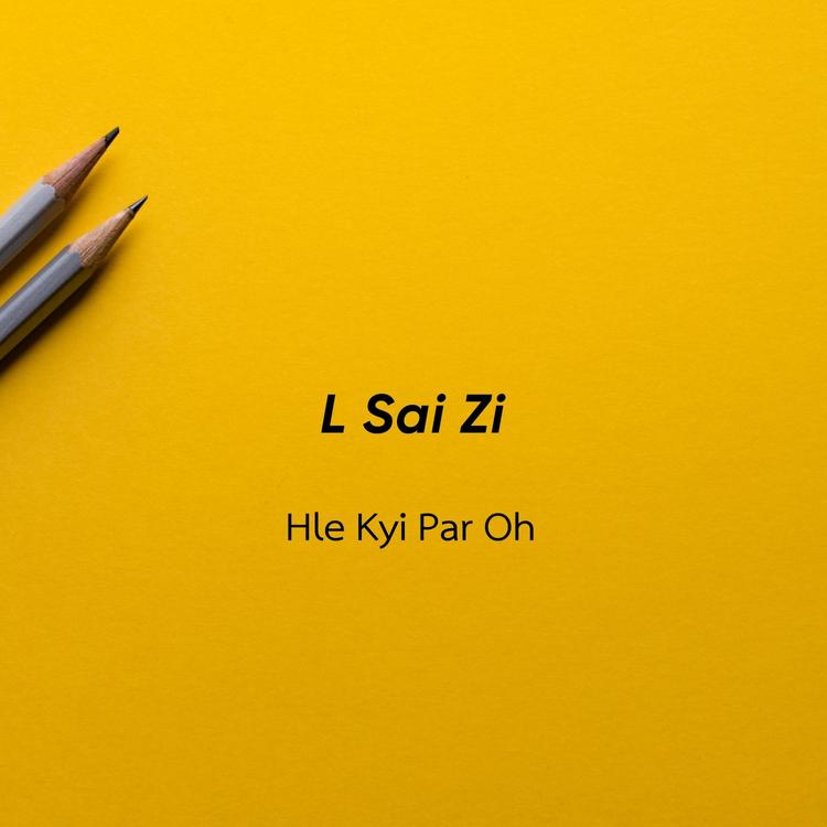 L Sai Zi's avatar image