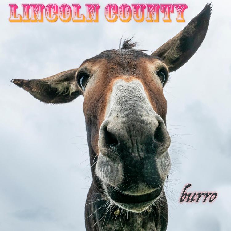 Lincoln County's avatar image