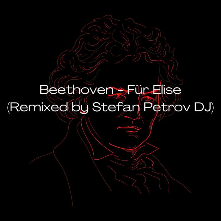 Stefan Petrov DJ's avatar image