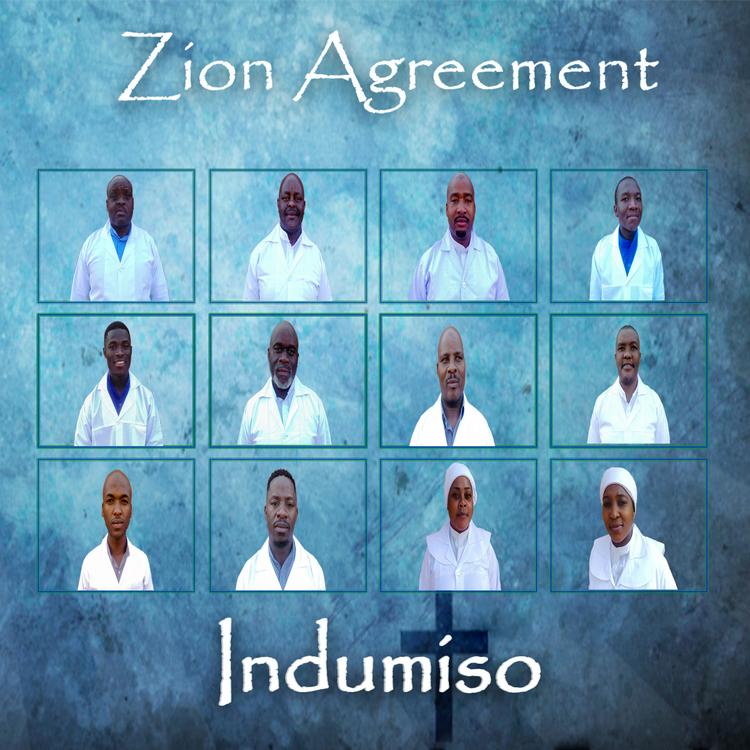 Zion Agreement's avatar image