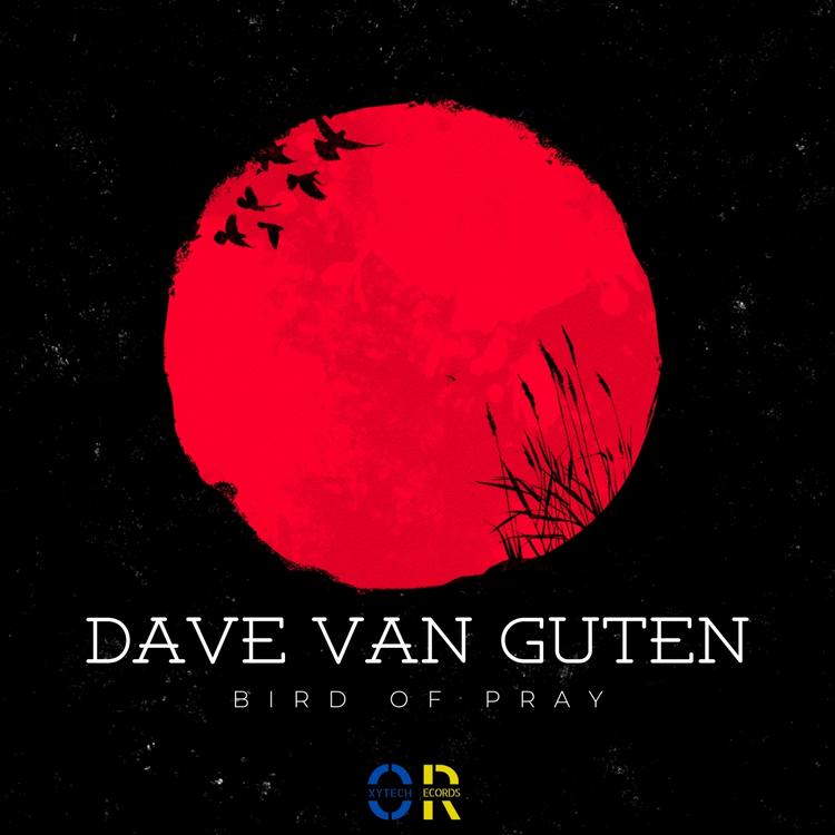 Dave Van Guten's avatar image