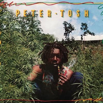 No Love, No Sympathy (Original Jamaican Mix) By Peter Tosh's cover