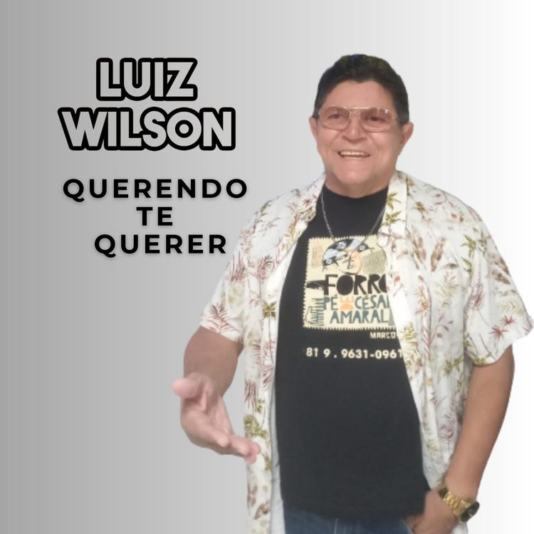 Luiz Wilson's avatar image