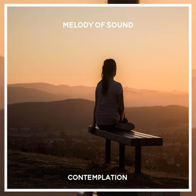 Contemplation By Melody of Sound's cover