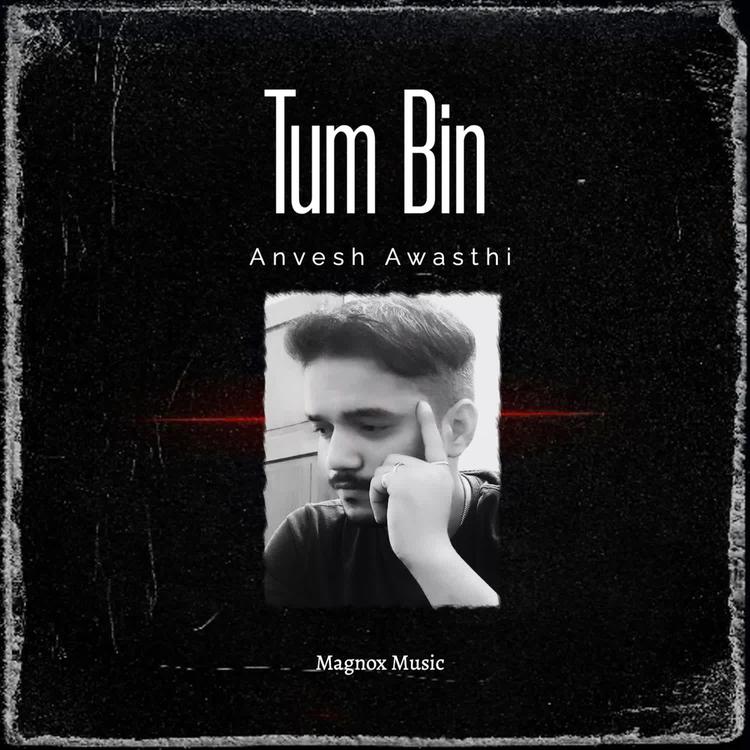 Anvesh Awasthi's avatar image