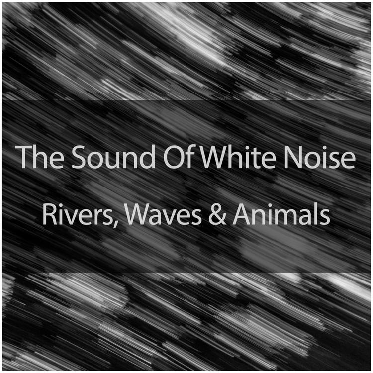 The Relaxing Sounds Of White Noise's avatar image