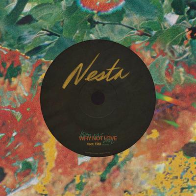Why Not Love By Nesta, Tru's cover