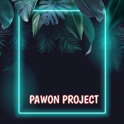 PAWON PROJECT's cover
