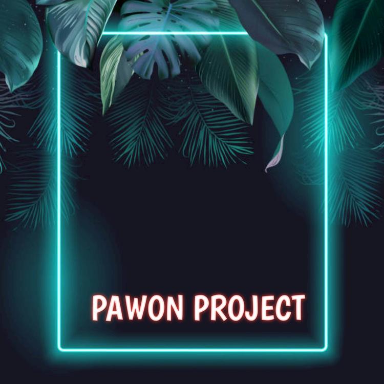 PAWON PROJECT's avatar image