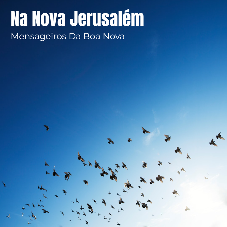 Mensageiros Da Boa Nova's avatar image