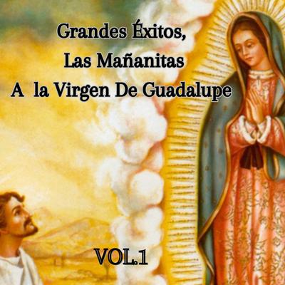 La Virgen de Guadalupe, Mañanitas (En Vivo)'s cover