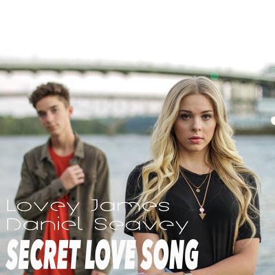 Secret Love Song By Lovey James's cover