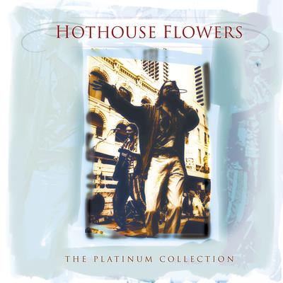 Hard Rain By Hothouse Flowers's cover