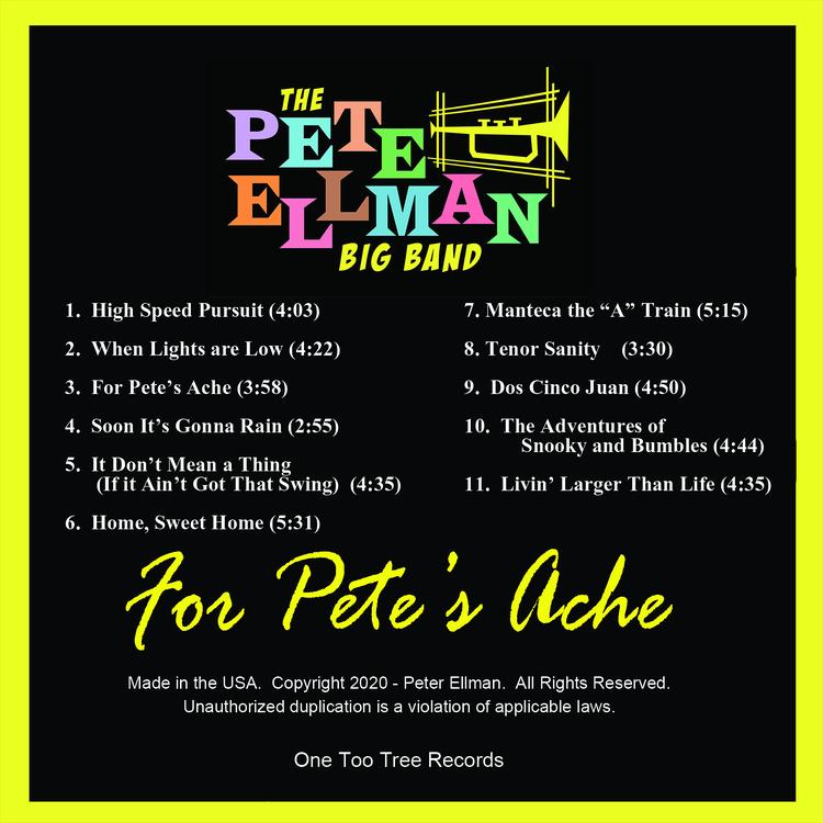 The Pete Ellman Big Band's avatar image