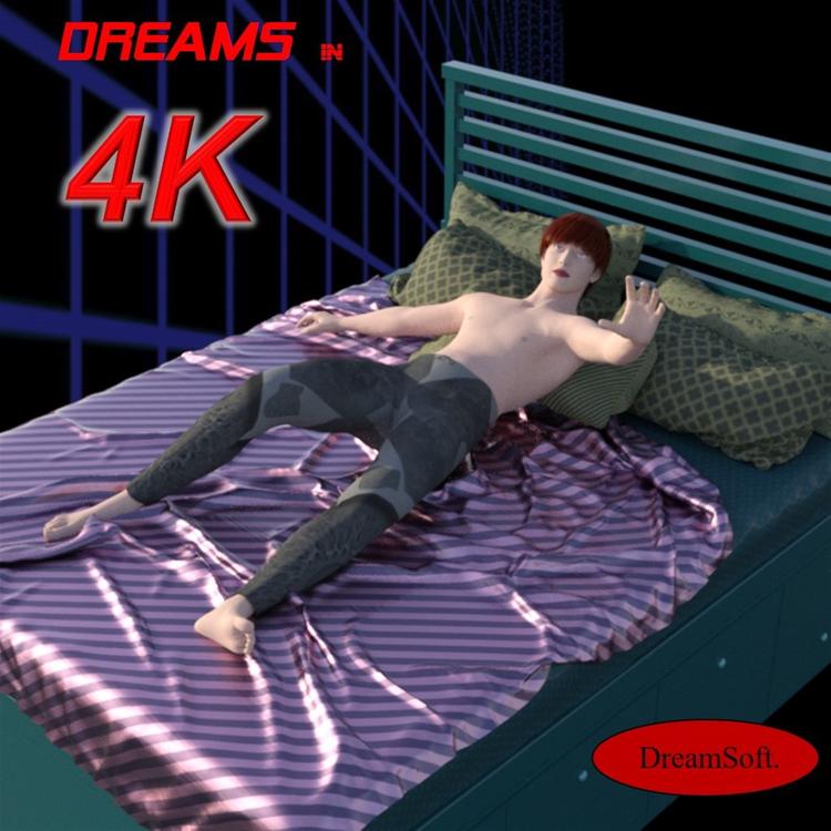 DreamSoft's avatar image
