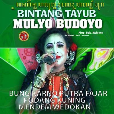 TAYUB MULYO BUDOYO, Vol. 6's cover