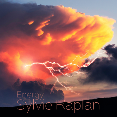 Sylvie Kaplan's cover