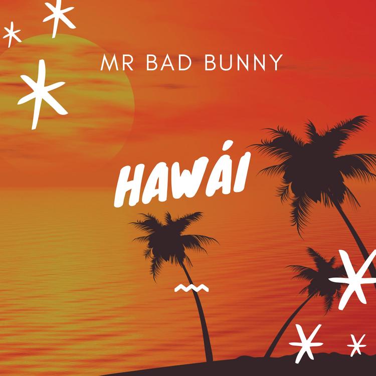 Mr Bad Bunny's avatar image
