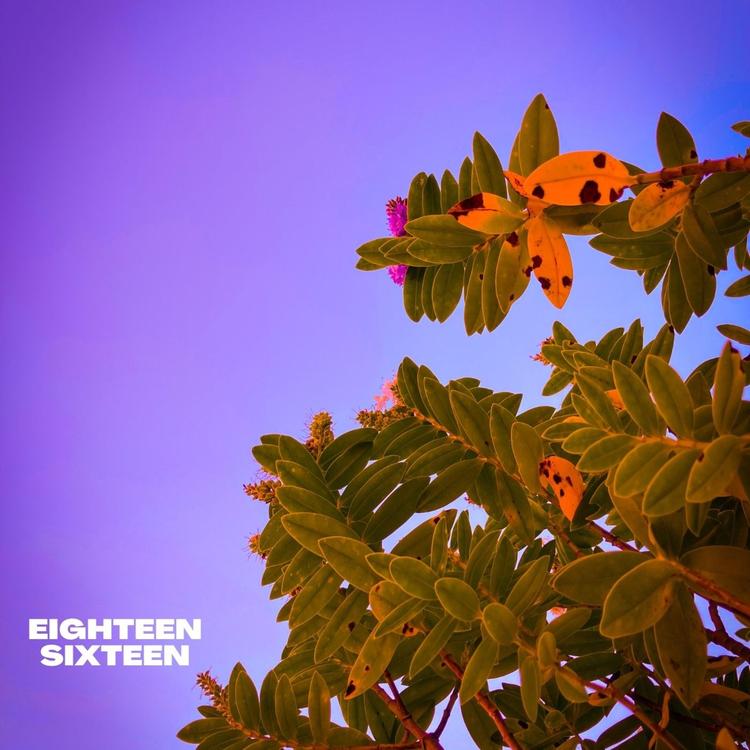 EIGHTEENSIXTEEN's avatar image