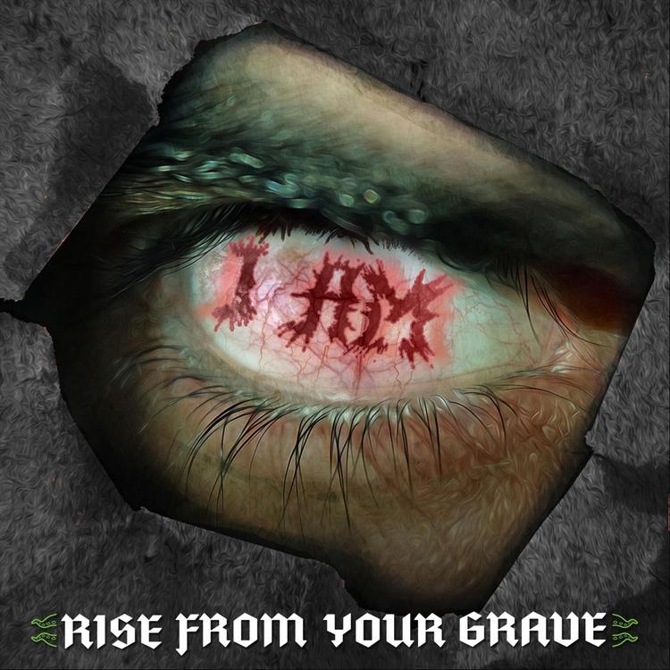 Rise from Your Grave's avatar image