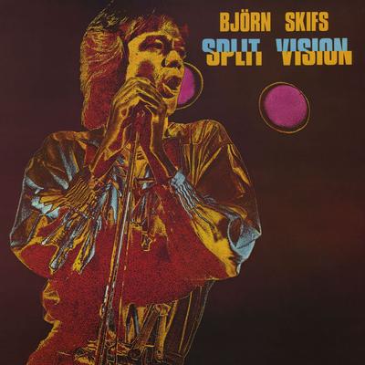 Split Vision's cover