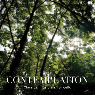 Contemplation's cover