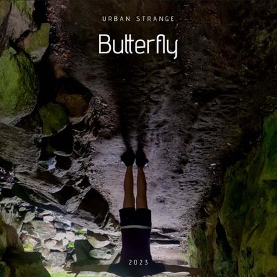 Butterfly (Original Mix)'s cover