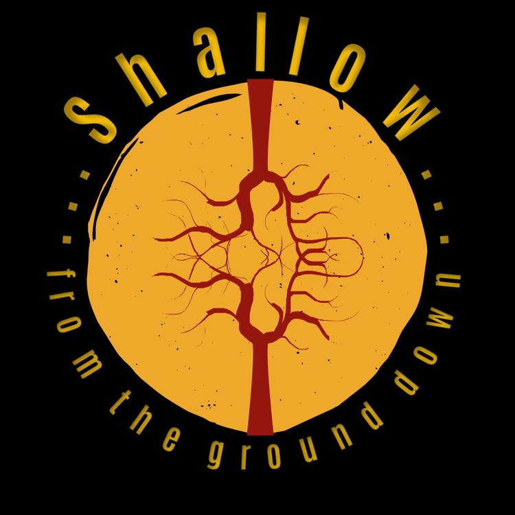 Shallow's avatar image