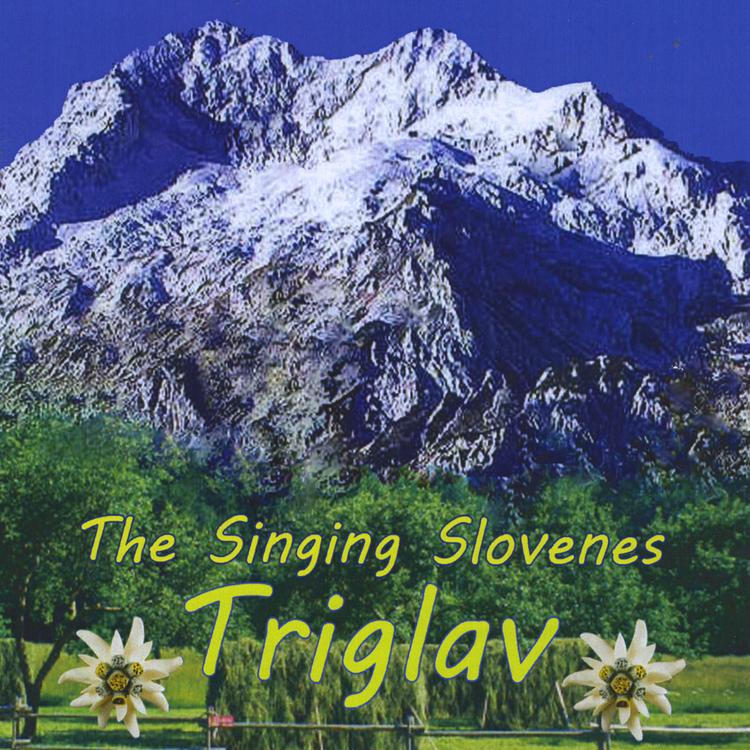 The Singing Slovenes's avatar image