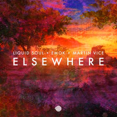 Elsewhere By Liquid Soul, Emok, Martin Vice's cover