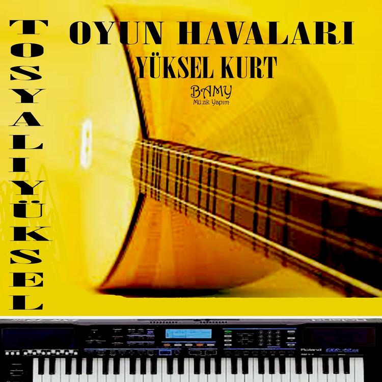 Tosyalı Yüksel Kurt's avatar image