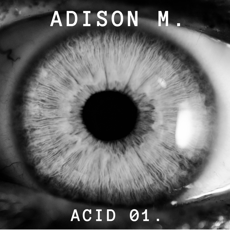 ADISON M.'s avatar image