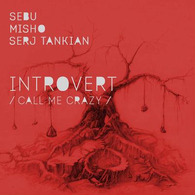 intrtovert (call me crazy)'s cover