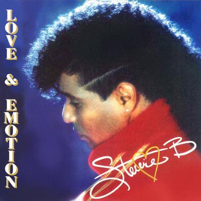 Memories Of Loving You By Stevie B's cover