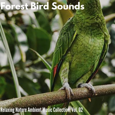 Forest Bird Sounds - Relaxing Nature Ambient Music Collection, Vol. 02's cover
