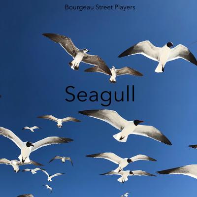 Bourgeau Street Players's cover