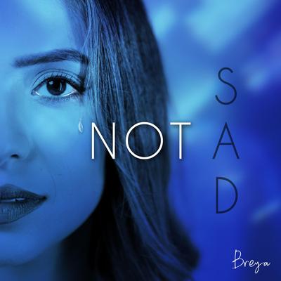 Not Sad's cover