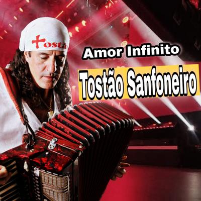 Saudades By Tostão Sanfoneiro's cover