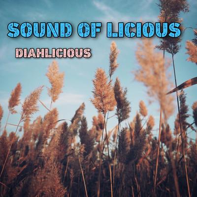 Sound of Licious (Remix)'s cover