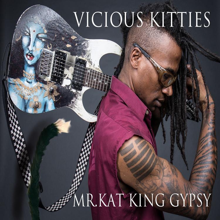 Vicious Kitties's avatar image