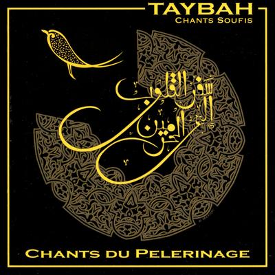 Taybah's cover