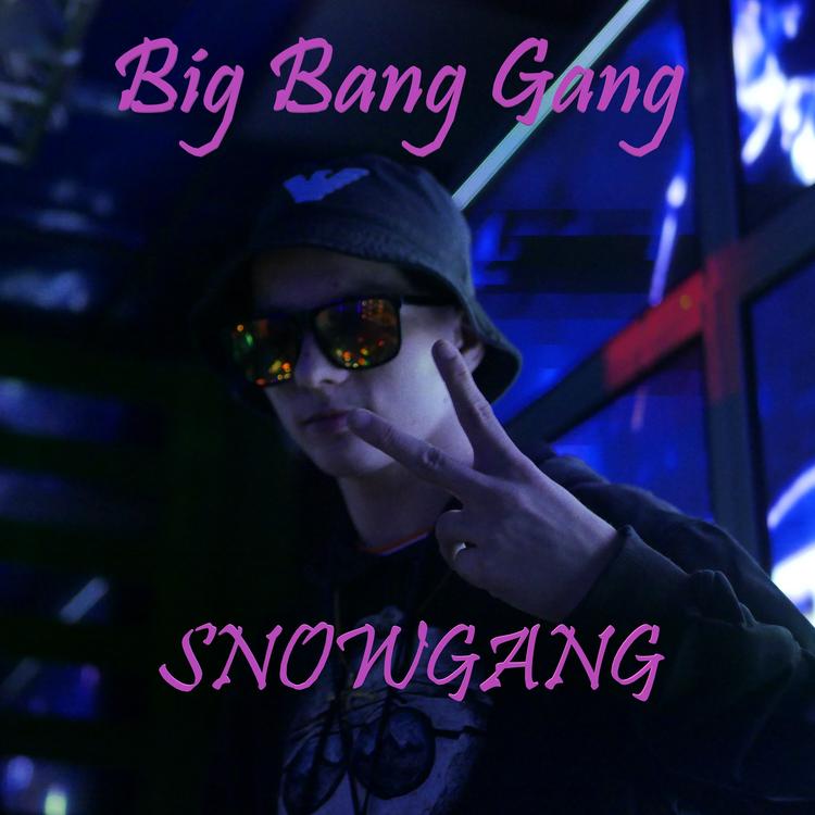 Big Bang Gang's avatar image