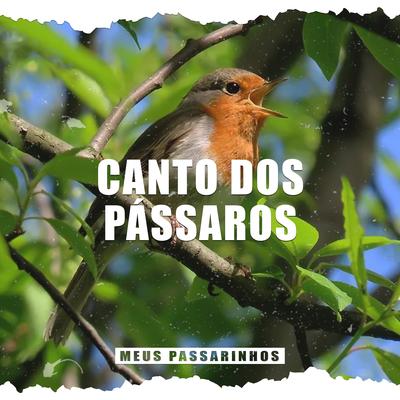 Canto dos Pássaros (4)'s cover