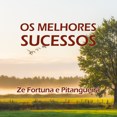 A Saudade Continua By Ze Fortuna E Pitangueira's cover