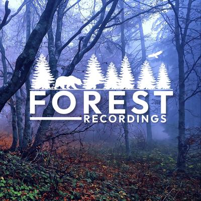 Forest Recordings's cover