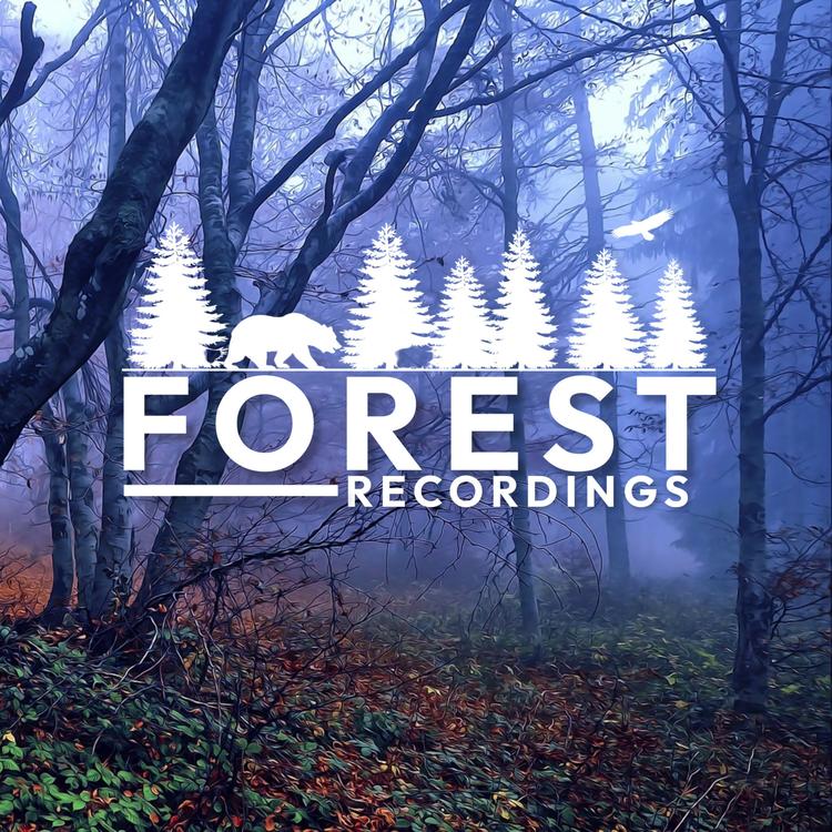 Forest Recordings's avatar image