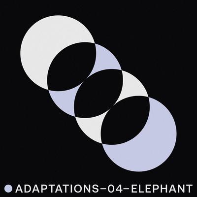 A Girl Like You (Edwyn Collins) By Elephant Music's cover